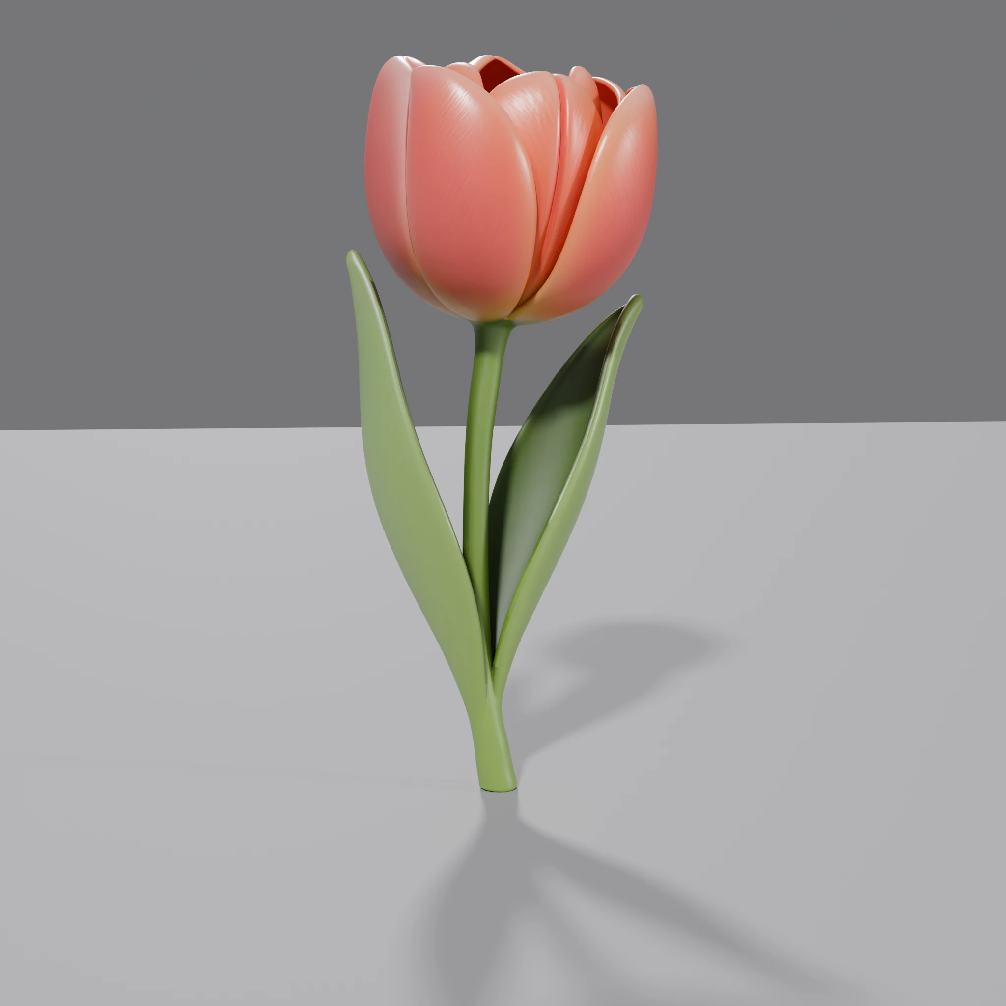 Minimalist Tulip Sculpture